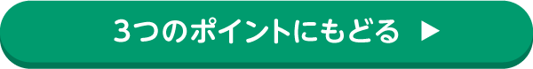 3つのポイントにもどる